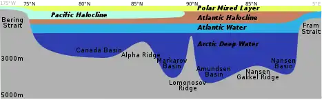 Image 35Distribution of the major water mass in the Arctic Ocean. The section sketches the different water masses along a vertical section from Bering Strait over the geographic North Pole to Fram Strait. As the stratification is stable, deeper water masses are denser than the layers above. (from Arctic Ocean)