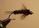 Brook's Montana Stonefly nymph