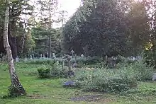 Very overgrown cemetery