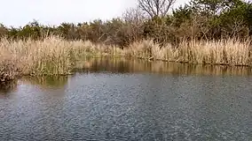 A photo of Buffalo Wallow in Abilene State Park