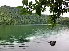 Bulusan Lake at the heart of the park.