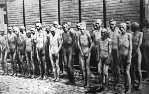 Image 23Soviet POWs held by the Nazis in Mauthausen concentration camp. It is estimated that at least 3.3 million Soviet POWs died in German custody. (from World War II casualties)