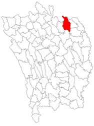 Location in Vaslui County