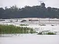 Land reclamation on the Buriganga river dredges sand and deposits it on the floodplain.