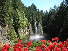 Ross Fountain