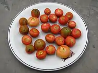 Fruit collected from a tree in Sertão Santana, Rio Grande do Sul, Brazil.