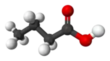 Space filling model of butyric acid