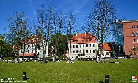 Grass esplanade on the island.