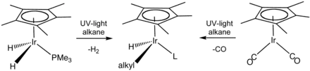 Skeletal formula presentation of a chemical transformation. The initial compounds have a C5H5 ring on their top and an iridium atom in the center, which is bonded to two hydrogen atoms and a P-PH3 group or to two C-O groups. Reaction with alkane under UV light alters those groups.