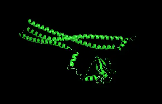 Possible CCDC166 structure