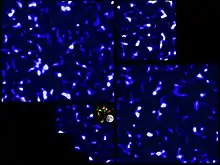 DM map by the CFHT Lensing Survey (CFHTLenS) using the Canada–France–Hawaii Telescope (2012). (COSMOS map at the center)