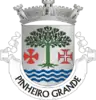 Coat of arms of Pinheiro Grande