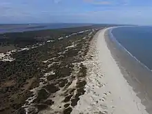 Narrow barrier island with trees, shrubs, sand, and ocean