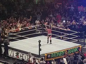 A professional wrestler stands alone in a ring hoisting a golden championship belt.