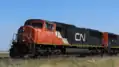 CN #5800