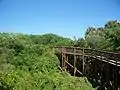 Boardwalk to top of mound