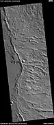 Group of large and small channels  Picture was named HiRISE picture of the day for October 27, 2021.