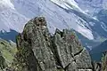 Cadomin Formation outcrops along the Centennial Ridge Trail, Mount Allan, Alberta.