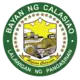 Official seal of Calasiao