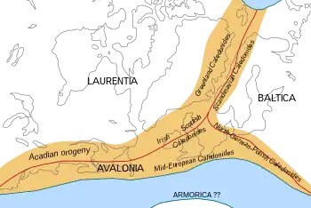 The branches of the Caledonian/Acadian belts at the end of the Caledonian orogeny (Early Devonian). Present-day coastlines are in gray.