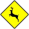 Wild animals crossing