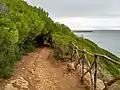 Camí de Cavalls. Stage 14, near Cala Escorxada.