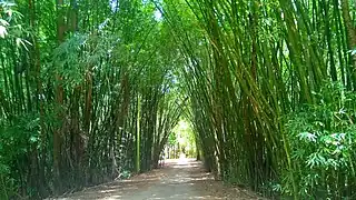 Entrance to Guajataka Scout Reservation in Guajataca