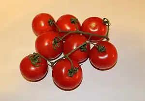 Campari tomatoes on the vine