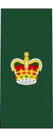 Insignia of a warrant officer