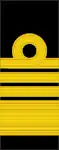 Tunic rank insignia (2010-)