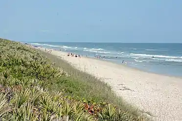 Looking north on the southern part of the seashore