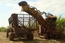 Mechanized harvesting of sugarcane in Piracicaba, São Paulo