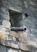 Cannon