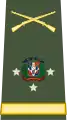 Lieutenant General