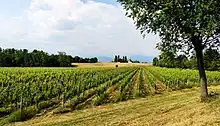 Capriano del Colle is a comune in the province of Brescia, Lombardy