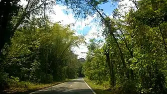 Puerto Rico Highway 146 in Frontón barrio