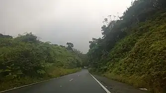 Puerto Rico Highway 184 south in Patillas