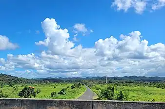 Puerto Rico Highway 676 in Bajura