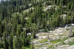 Looking down on Cascade Canyon