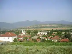 Čaška