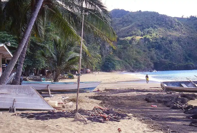 Image 1Castara village beach (from Tobago)