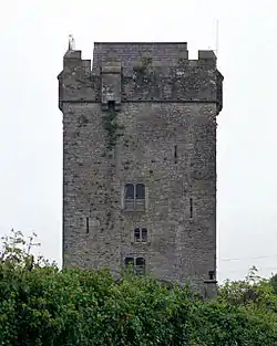 Castlefergus or Ballyhannon Castle