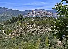 A castle-town on top of a hill