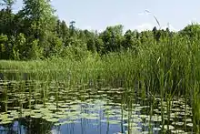 Lake at the end of the trail