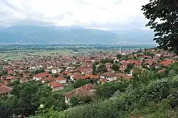 Čelopek