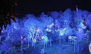 Christmas lights at Nutibara Hill