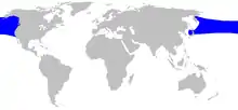 Stejneger's beaked whale range