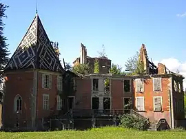 Ruins of the chateau