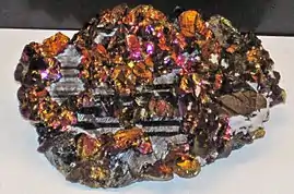 Chalcopyrite on sphalerite, Boldut Mine, Cavnic, Carnegie Museum of Natural History specimen CM27849