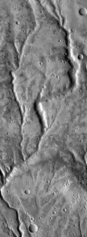 Channels near Warrego Valles. These branched channels are strong evidence for flowing water on Mars, perhaps during a much warmer period.